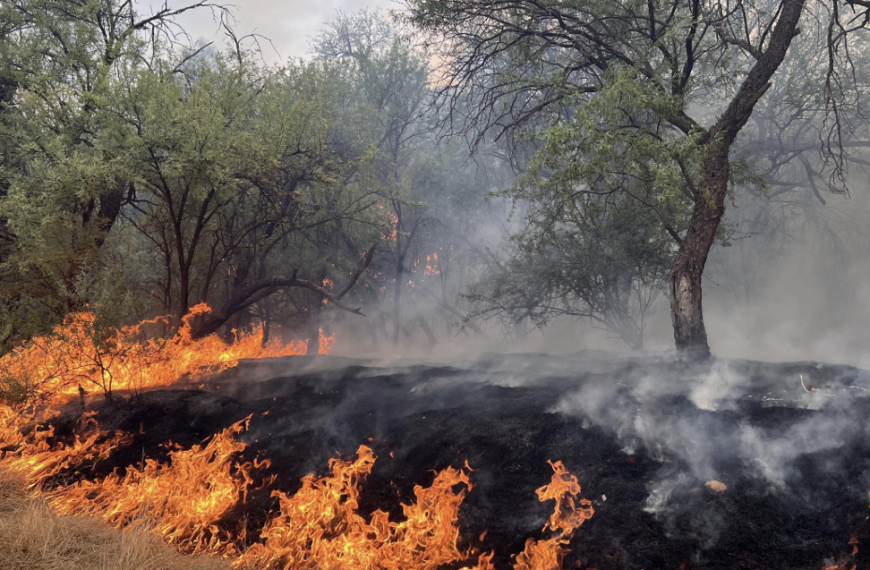 Sand Stone Fire 2024, photo on the cover of the 2024 Southwest Wildfire Season Overview Report. Photo by Nick Castro